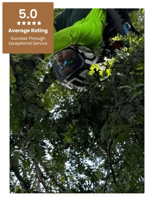 Commercial Tree Service