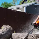 Affordable Tree Service