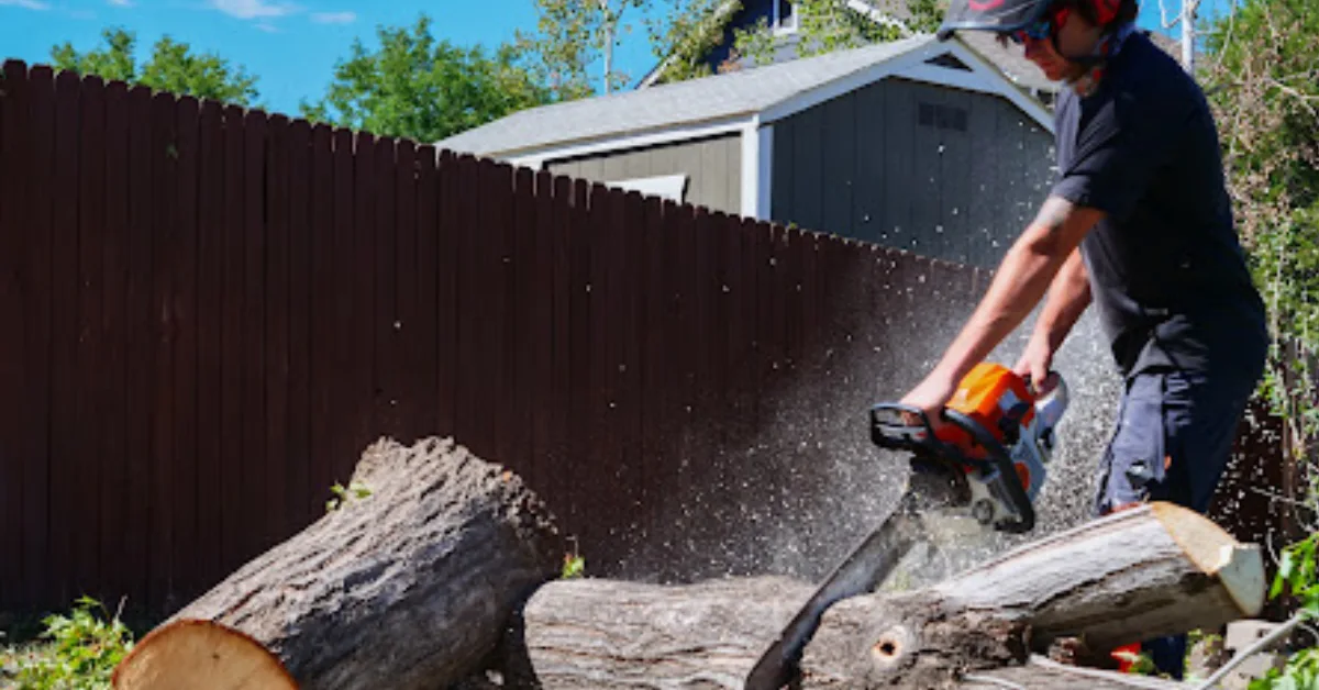 Affordable Tree Service