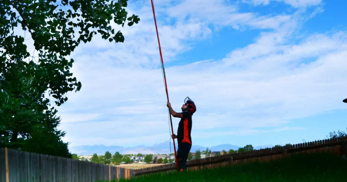 Tree Pruning