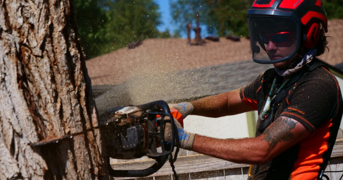 Tree Removal