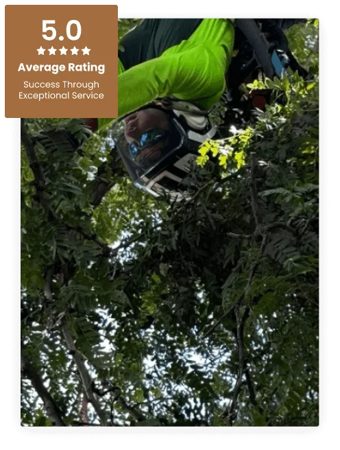 About Sidden Tree Service